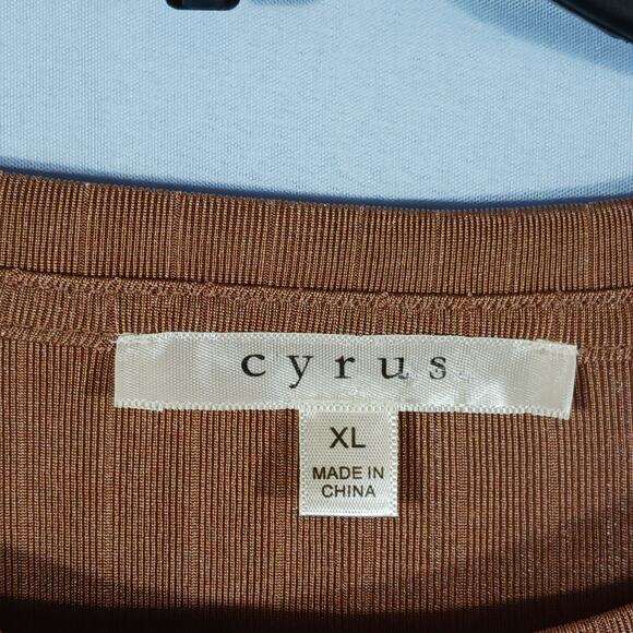 Cyrus Top Women's XL Tan Ribbed Long Sleeve Round Neck Silky NWT - Picture 2 of 9